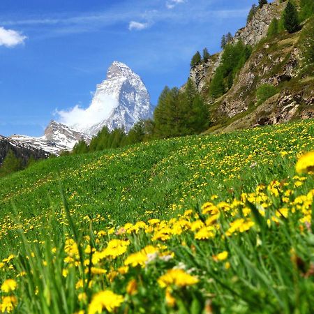 Apartment Apollo By Interhome Zermatt Luaran gambar